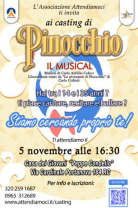Musical Pinocchio, copertina